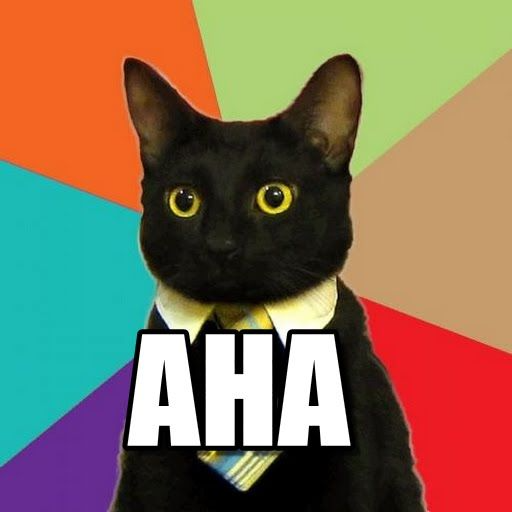 AHA Moment